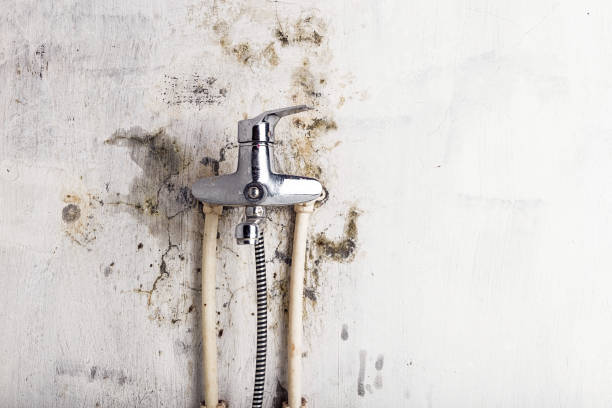 Best Water Damage Restoration  in Cedar Hills, UT