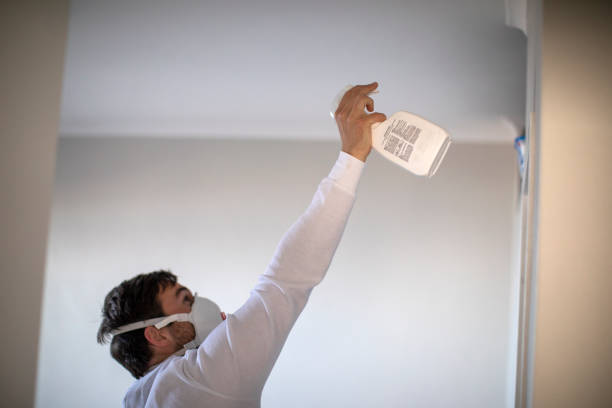 Trusted Cedar Hills, UT Mold Removal Experts