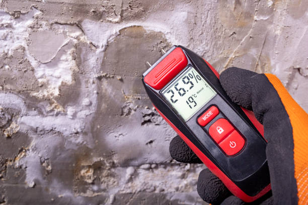 Best Mold Testing and Removal  in Cedar Hills, UT