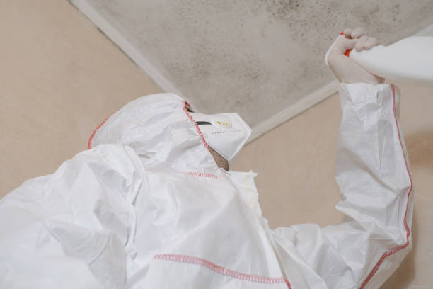Best Mold Testing  in Cedar Hills, UT